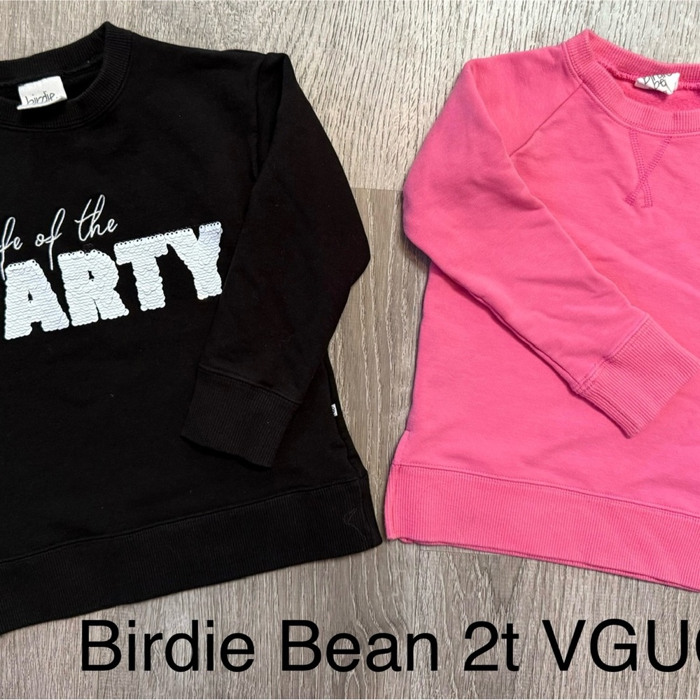 Birdie Bean bamboo bundle Sweaters toddler 2t